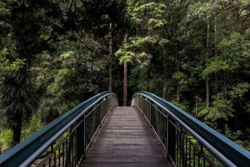 Metal bridge in a forest