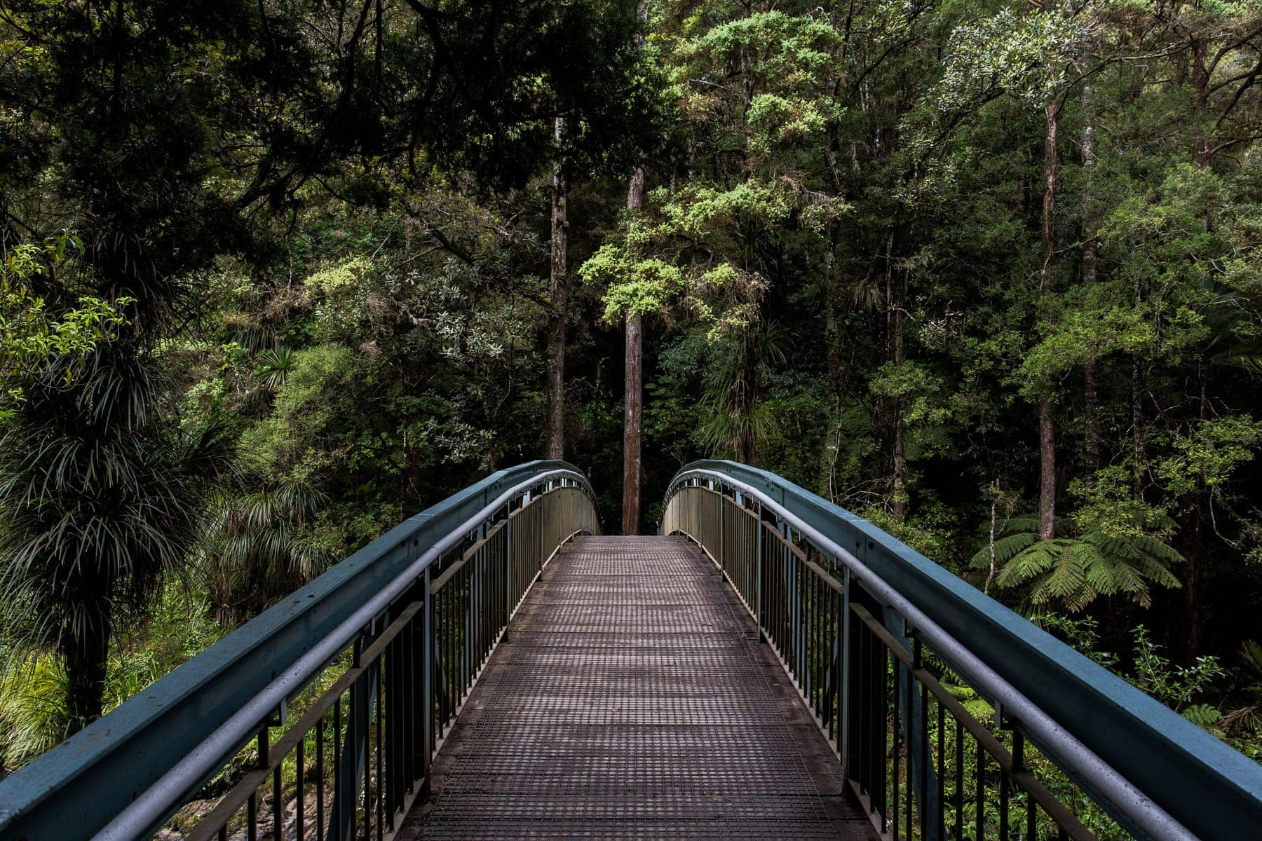 Metal bridge in a forest